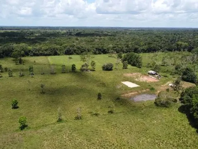 Imagem 14: 50 Hectares Pronta no Pará R$ 1.1 Milhão de Reais Fazendinha Top