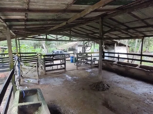 Imagem 2: 50 Hectares Pronta no Pará R$ 1.1 Milhão de Reais Fazendinha Top