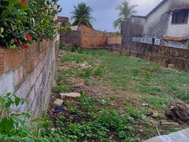 Imagem 10: Vendo Terreno 10X30 Próximo Ao Maçarico