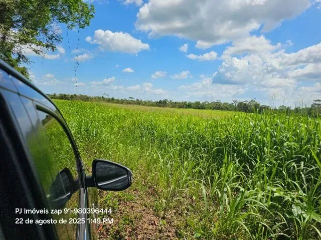 Imagem 12: 180X700 no Pasto Há 18 Km de Castanhal Pará R$ 250 Mil