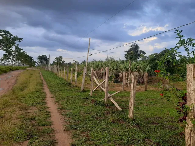 Imagem: Fazenda Residencial em Benevides - Pa, Estrada