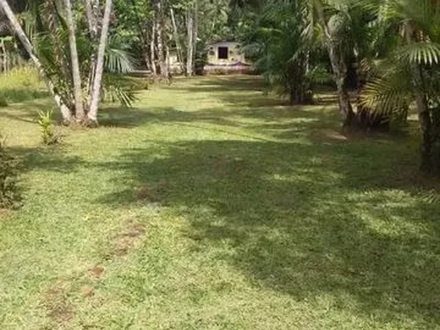 Imagem: A.moura Gestor Imobiliário-Vende Um Excelente