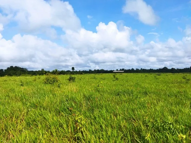 Imagem: R$ 3.5 Milhões de Reais Fazenda com 50