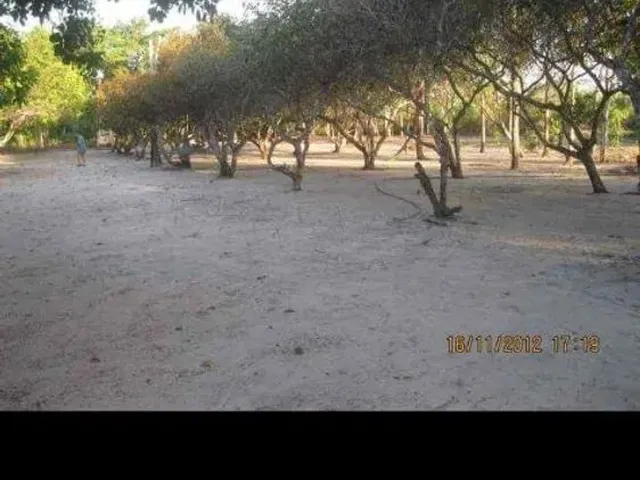 Imagem 6: Vendo Sítio e Terreno em Marapanim/Marudá