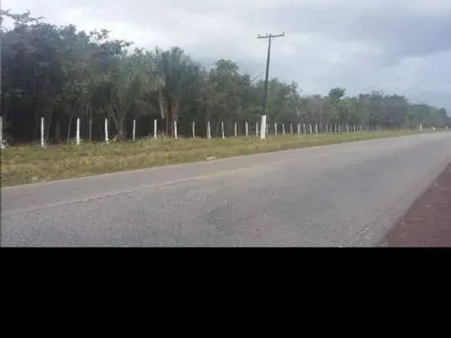 Imagem 7: Vendo Sítio e Terreno em Marapanim/Marudá