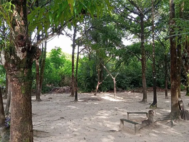 Imagem 8: Vendo Sítio e Terreno em Marapanim/Marudá