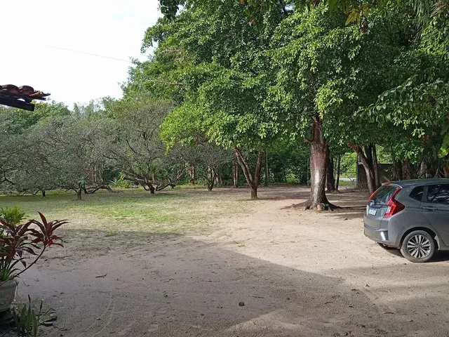 Imagem 10: Vendo Sítio e Terreno em Marapanim/Marudá