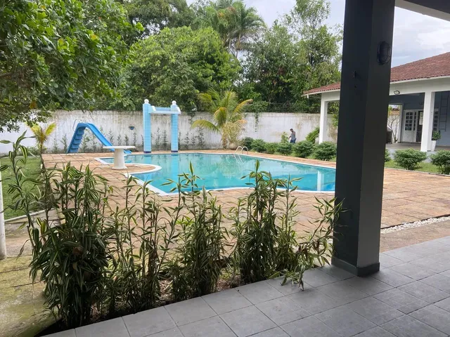 Imagem 14: Vendo Lindo Sítio em Marituba Bem Localizado