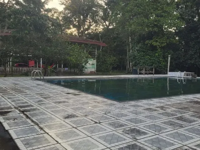 Imagem: Vende-Se Sítio, Terreno Frutifero, Perfeito