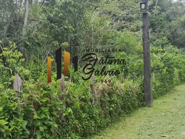 Imagem 4: Vendo Terreno na Estrada de Mosqueiro / Benevides