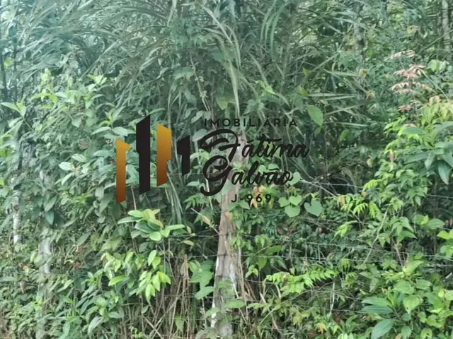 Imagem 8: Vendo Terreno na Estrada de Mosqueiro / Benevides