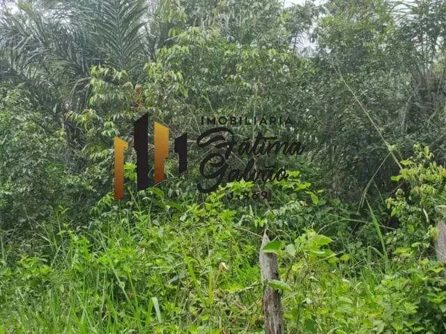 Imagem 3: Vendo Terreno na Estrada de Mosqueiro / Benevides
