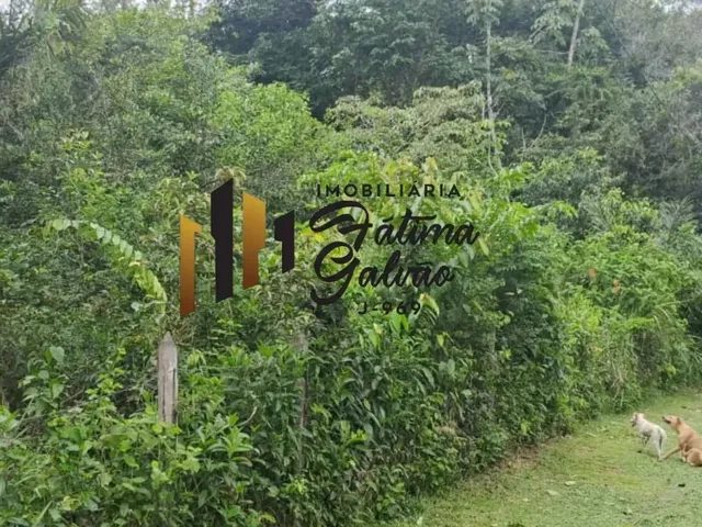 Imagem 5: Vendo Terreno na Estrada de Mosqueiro / Benevides