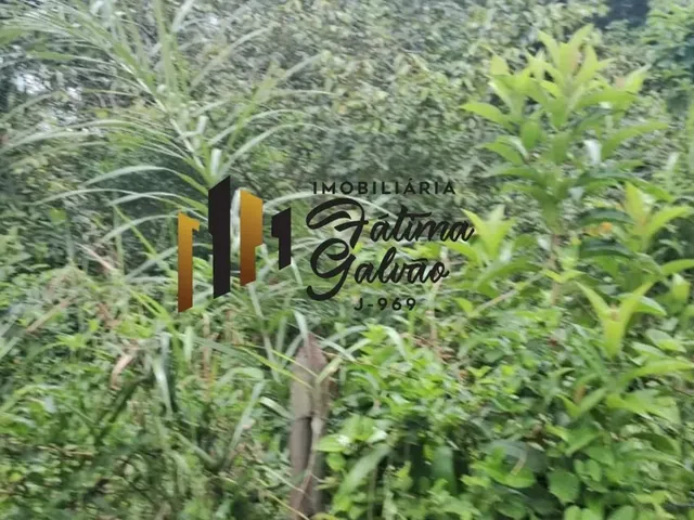 Imagem 7: Vendo Terreno na Estrada de Mosqueiro / Benevides