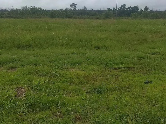 Imagem 2: Lote em Castanhal Vale 3 Próxima a o Japim