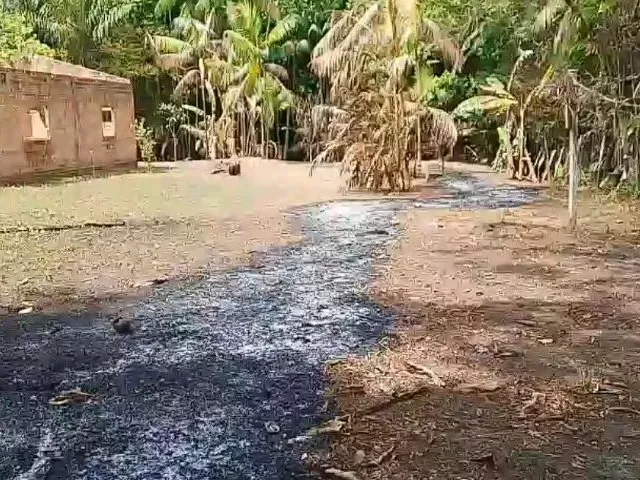Imagem: Terreno em Colares