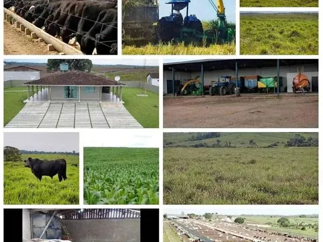 Imagem: 4.646 Hectares Fazenda Pronta com Lavoura