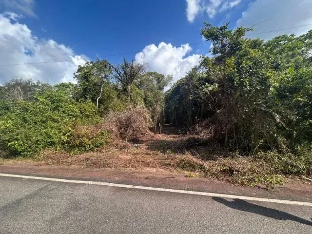 Imagem: Moura Gestor Imobiliario Vende Lotes Rurais