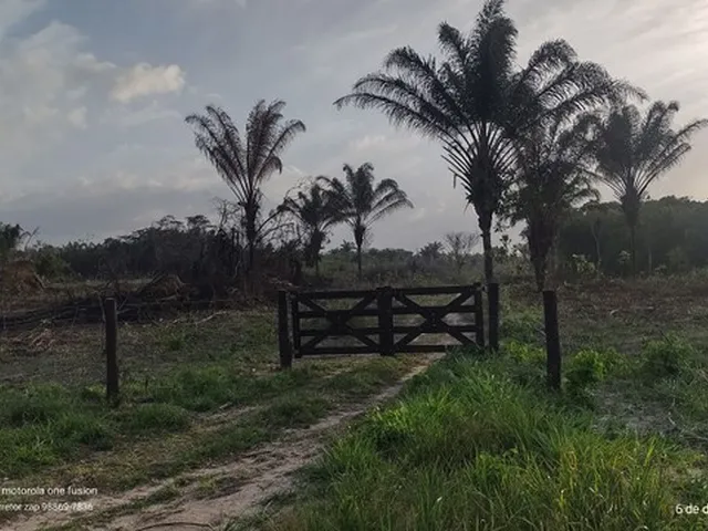 Imagem: 45 Hectares Sendo Formada por R$290 Mil