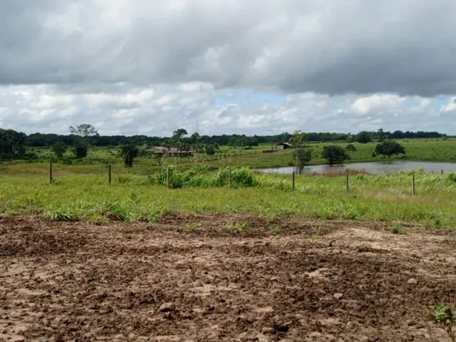 Imagem: Fazenda 1.500 Hect. 25Km de Bragança Pa