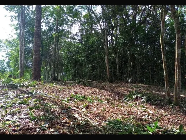 Imagem: Terreno em Condomínio de Reserva Florestal