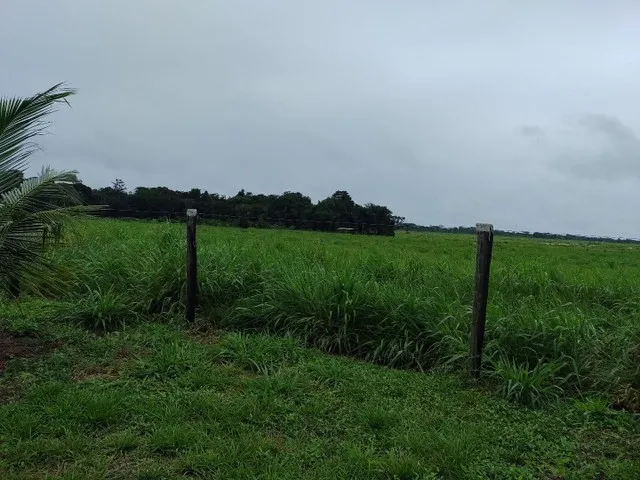 Imagem: R$ 3.5 Milhões de Reais 9 Lotes e Meio