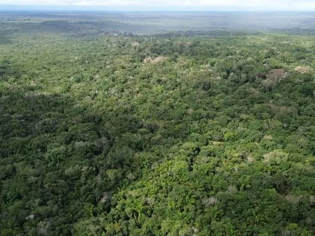 Imagem: 500X2500 Região de Curuça por R$ 450 Mil