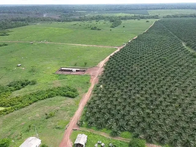 Imagem: Fazenda 4.500 Hectares Tailândia/Tome Açú