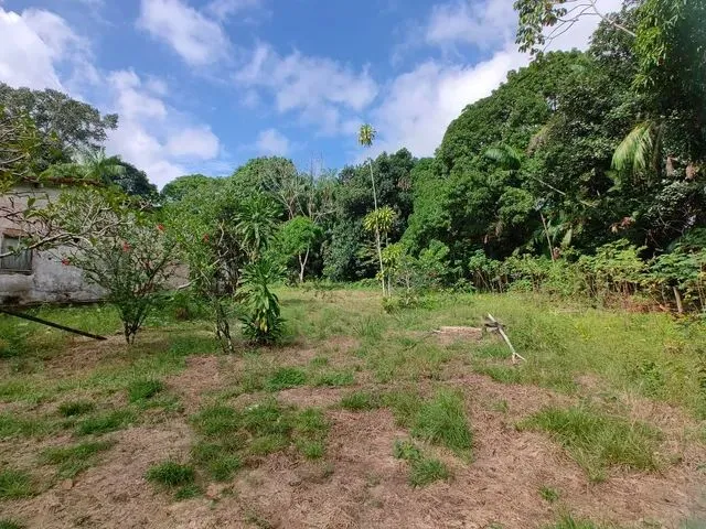 Imagem: 170 Hectares Há 45 Km de Belém por 2 Milhões
