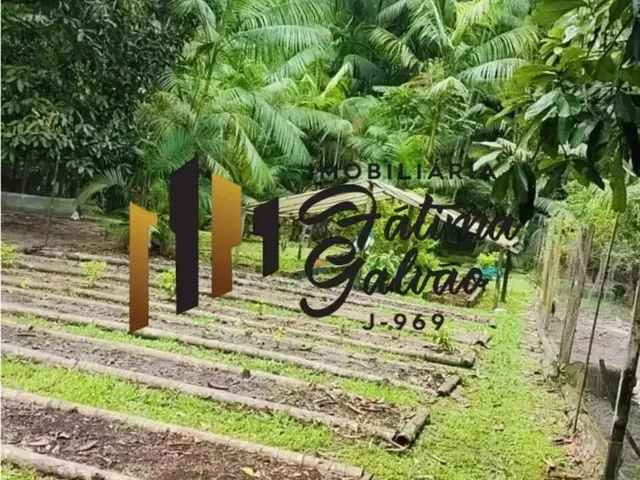 Imagem 10: Vendo Linda Chácara em Benevides