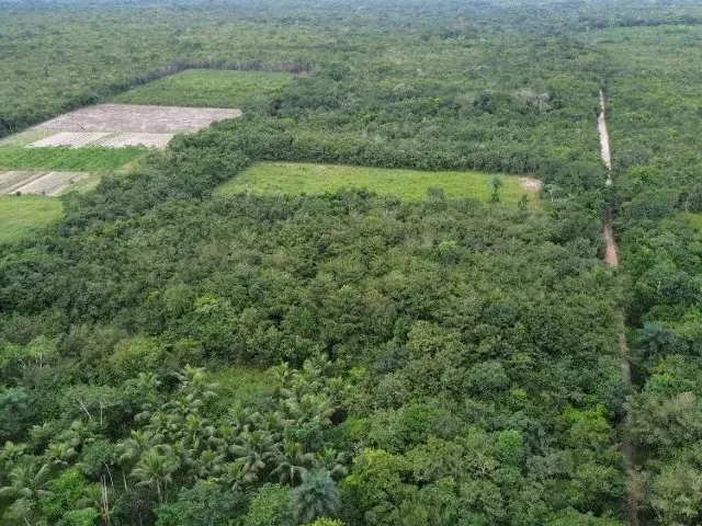 Imagem: 10 Hectares Sitio Há 74 Km de Castanhal