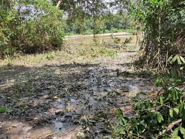 Imagem: Um Lote À Beira Mar