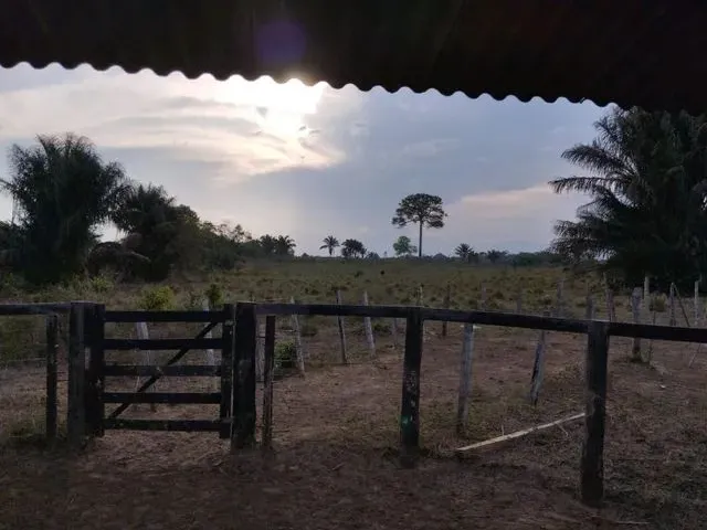 Imagem: 43 Hectares Pronta 160 Km de Belém R$ 530