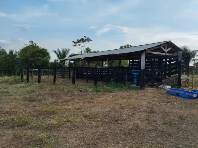 Imagem 2: 43 Hectares Pronta 160 Km de Belém R$ 530 Mil