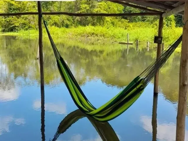 Imagem: Lindo Sitio 80X120 Há 17 Km de Castanhal