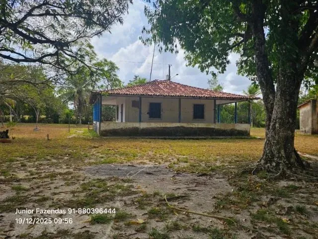 Imagem 6: Lindo Sitio 80X120 Há 17 Km de Castanhal Todo Pronto Igarapé Muito Arrumado por R$ 250