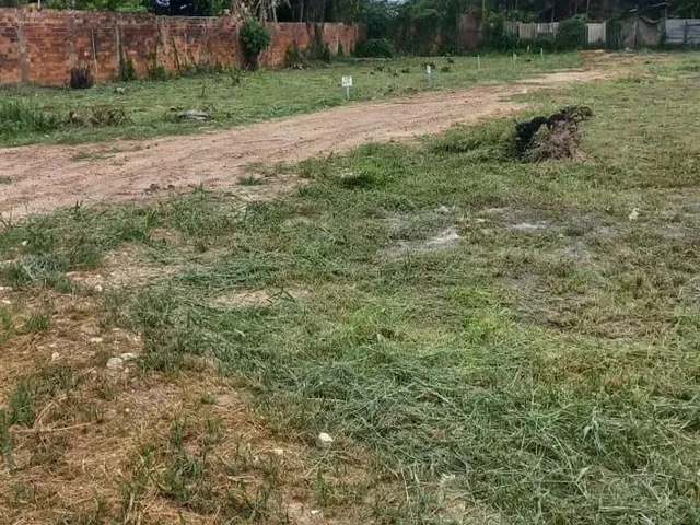 Imagem: Vendo Terreno no Curuçambá