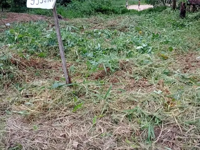 Imagem: Terreno no Pau D Amp Apos Arco 6,000