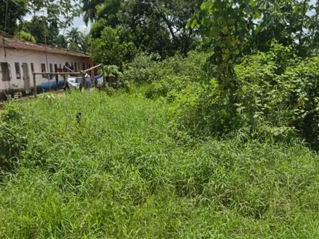 Imagem: Vende-Se Terreno - Valor 75.000 (Negociável