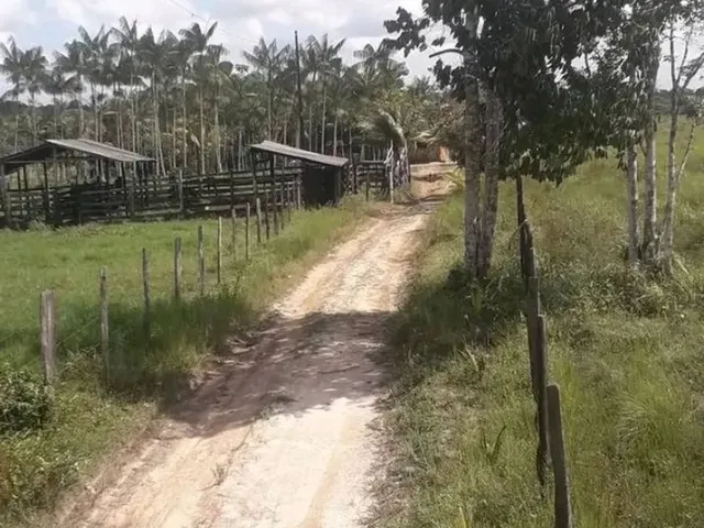 Imagem: 25 Hectares Fazendinha Há 20 Km de Castanhal