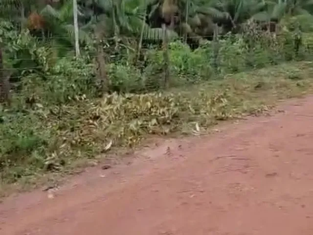 Imagem 5: Sítio Paraíso com Igarapé