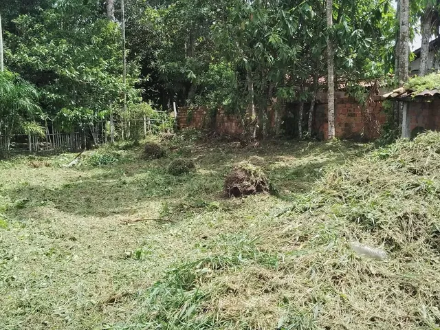 Imagem: Vendo Terreno - Curuçambá