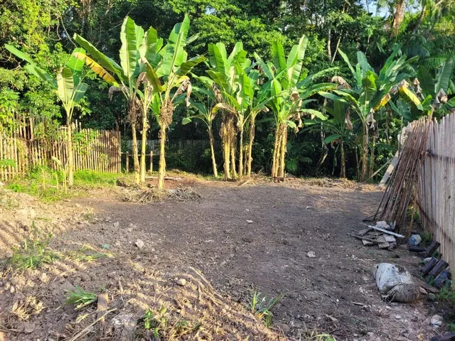 Imagem: Vendo Lotes no Murinim, 11X30. E 11X20