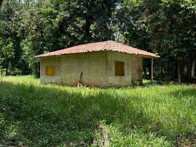 Imagem 12: Sítio 11,75Ha em Benfica com Rio e 2 Casas - Oportunidade