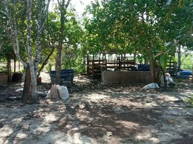 Imagem: 62 Hectares Fazendinha Pronta com Confinamento