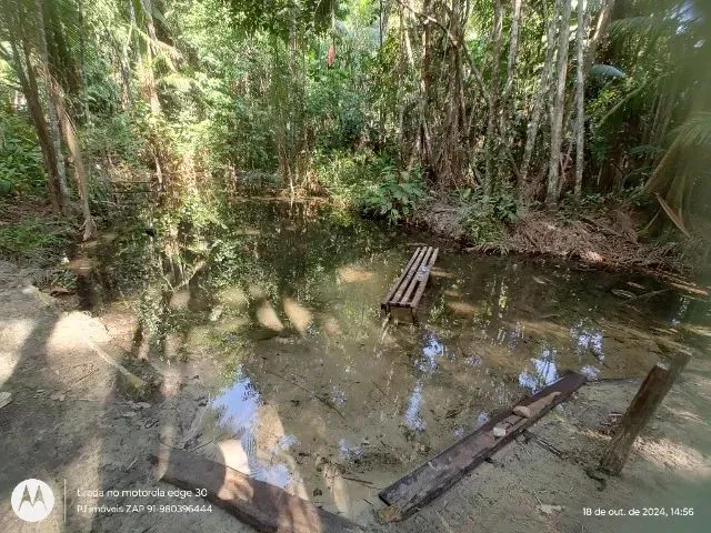 Imagem: 46 Hectares em Primavera por 450 Mil Reais