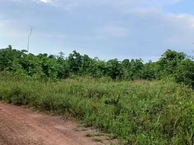 Imagem: Terreno Agrícola