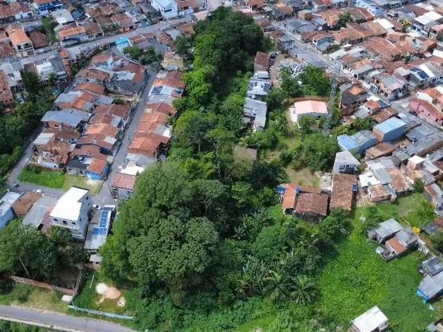 Imagem: Terreno Bem Localizado com 4000 M²