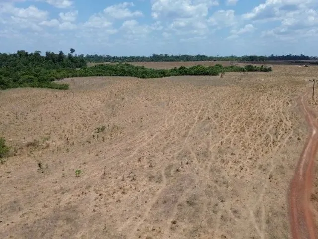 Imagem: 360 Alqueires com 270 Abertos Dupla Aptidão