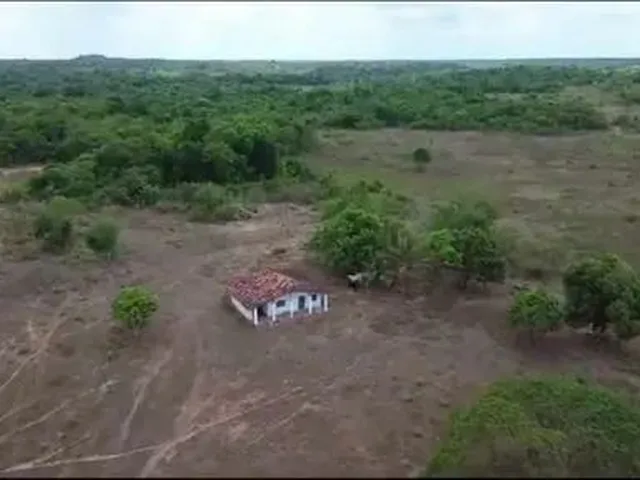 Imagem: 404 Hectares por 3.267,00 Reais por Hectare